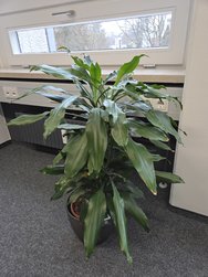 S25_20250211_094237.jpg