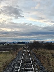 IMG20250213073911.jpg