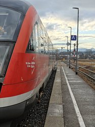 IMG20250213081254.jpg