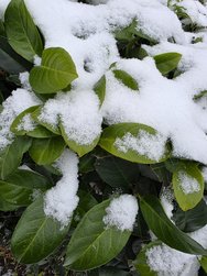 20250213_105627.jpg