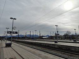 IMG20250213123042.jpg