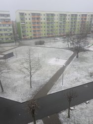 PXL_20250213_130148135.jpg