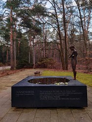 IMG_20250211_165914.jpg