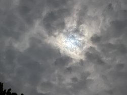 IMG_1384.jpeg