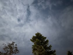 IMG_1385.jpeg