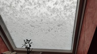 IMG_20250213_085833547.jpg