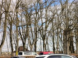 IMG_20250125_140025_178.jpg