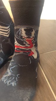 IMG_20250213_220429.jpg