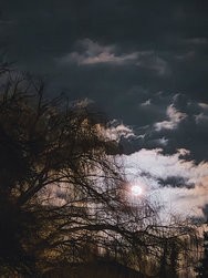 IMG_20250213_203343278 (1).jpg