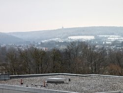 PXL_20250214_082441554.jpg