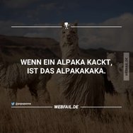 alpka.jpg