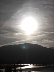 IMG_20250214_173323.jpg