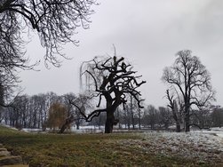 IMG_20250214_104714550_HDR.jpg