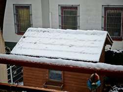 IMG_20250214_153332.jpg