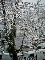 IMG_20250214_153346.jpg
