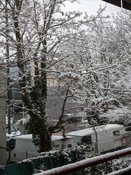 GC-B_20250214_153358704.jpg