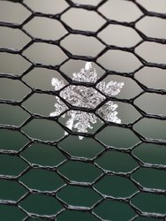 IMG_20250214_131151.jpg