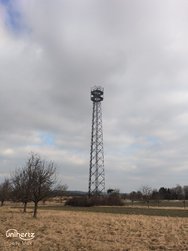 IMG_20250215_113530_670.jpg