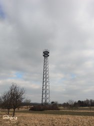 IMG_20250215_113558_127.jpg