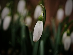 IMG_20250212_213442.jpg