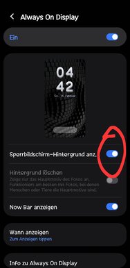 Screenshot_20250216_044239_AlwaysOnDisplay.jpg
