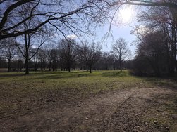 20250216_142111.jpg