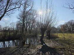 20250216_142508.jpg