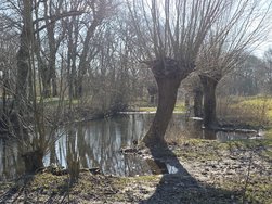 20250216_142514.jpg