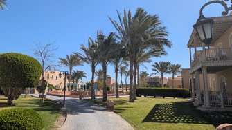 PXL_20250216_083957906.MP.jpg