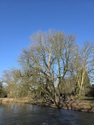 20250216_144402.jpg