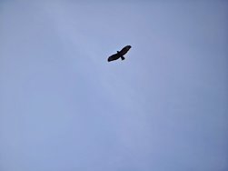 IMG_20250216_135039.jpg