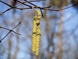 IMG_20250216_135701.jpg