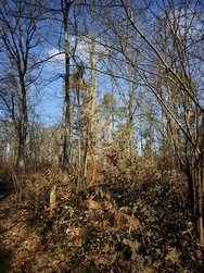 IMG_20250216_140023.jpg