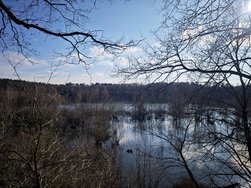 IMG_20250216_143311.jpg