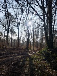 IMG_20250216_135325.jpg