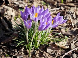 IMG_20250216_141457.jpg