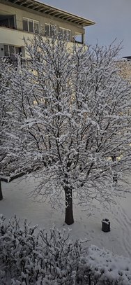 20250214_065018.jpg