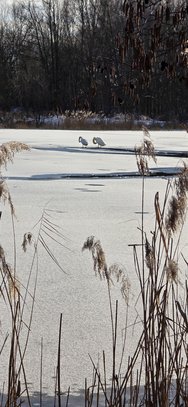 20250216_151913.jpg