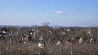 20250216_130751.jpg