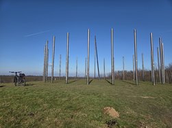 20250216_130857.jpg