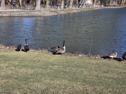 20250216_132734.jpg