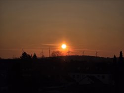 20250216_173309.jpg
