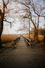 unbenannt (2 von 47).jpg