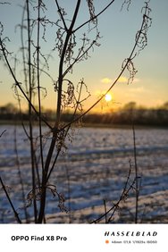 IMG_20250216_182828.jpg