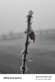 IMG20250202074644.jpg