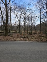 20250216_113805.jpg