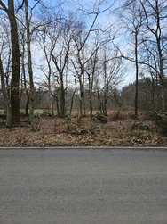 20250216_113828.jpg