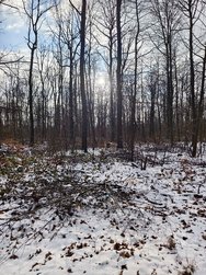 IMG_20250216_151619.jpg