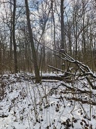 IMG_20250216_150229.jpg