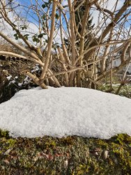 IMG_20250216_132334.jpg